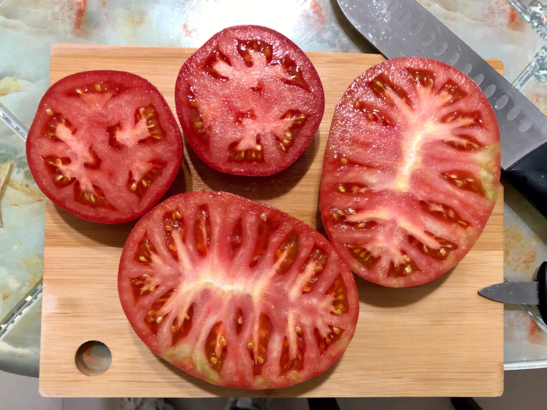 番茄横切面结构图名称图片
