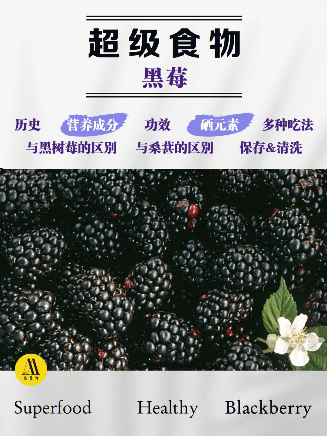 7515历史追溯黑莓也称露霉,原产地北美洲,属蔷薇科悬钩子多年生藤