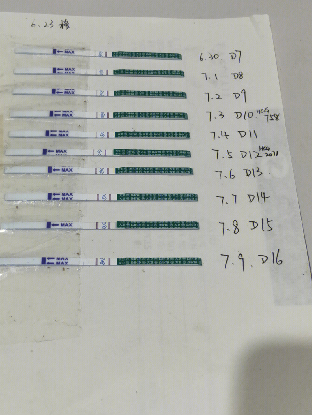 怀孕54天图片图片