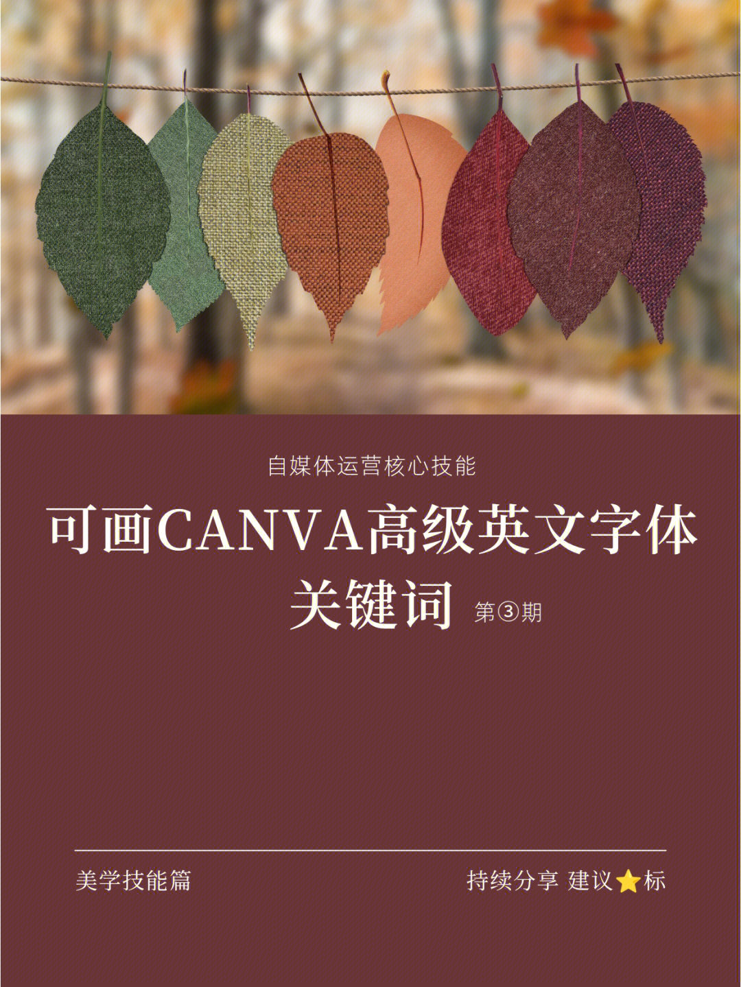 作图干货可画canva高级英文字体分享