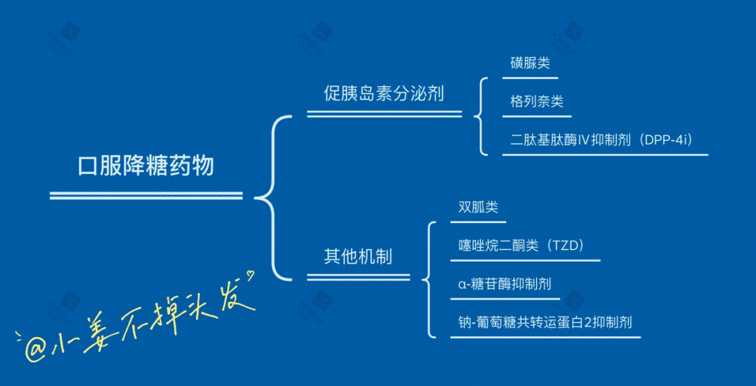 糖尿病药物分类图片