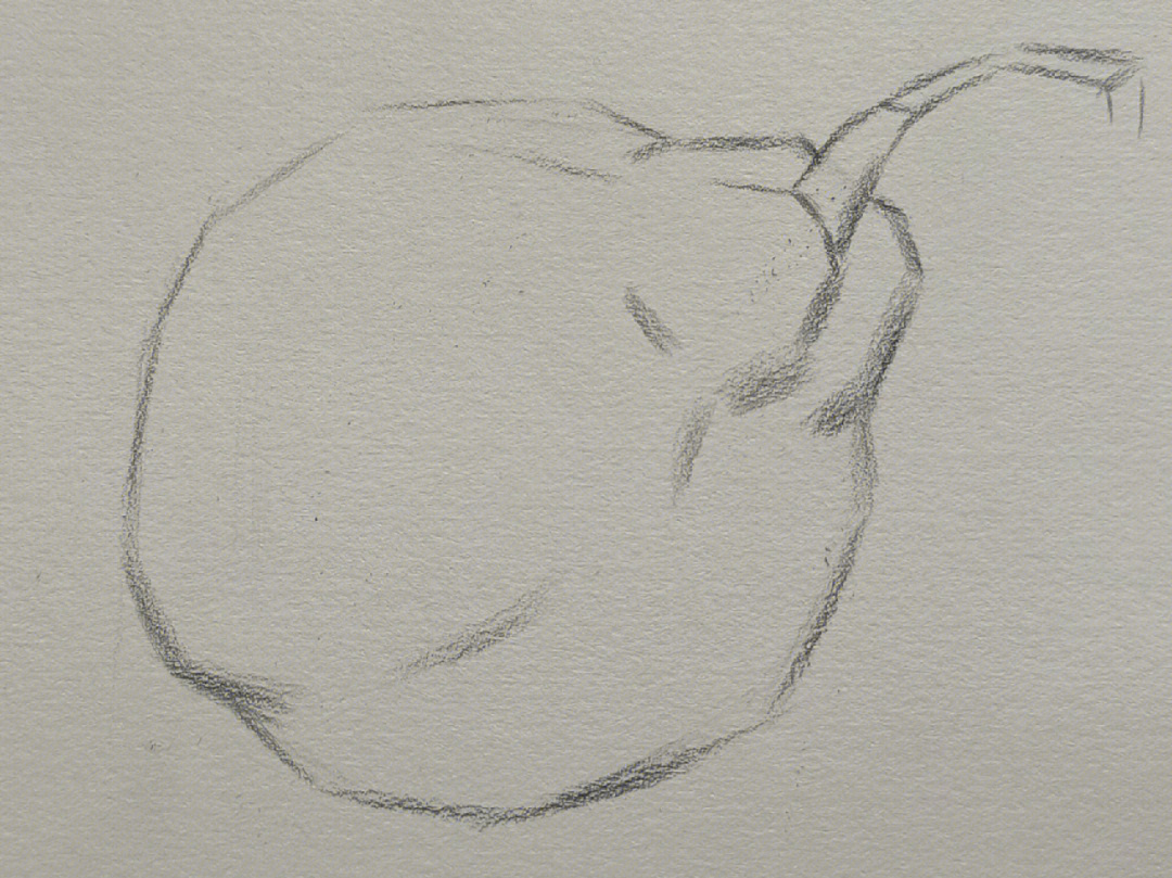 素描一个梨的画法图片