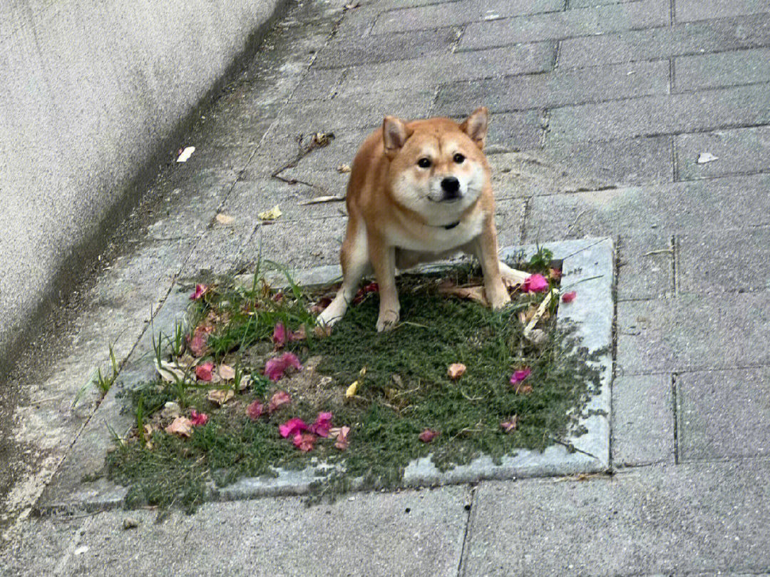 不服气打一顿就好了