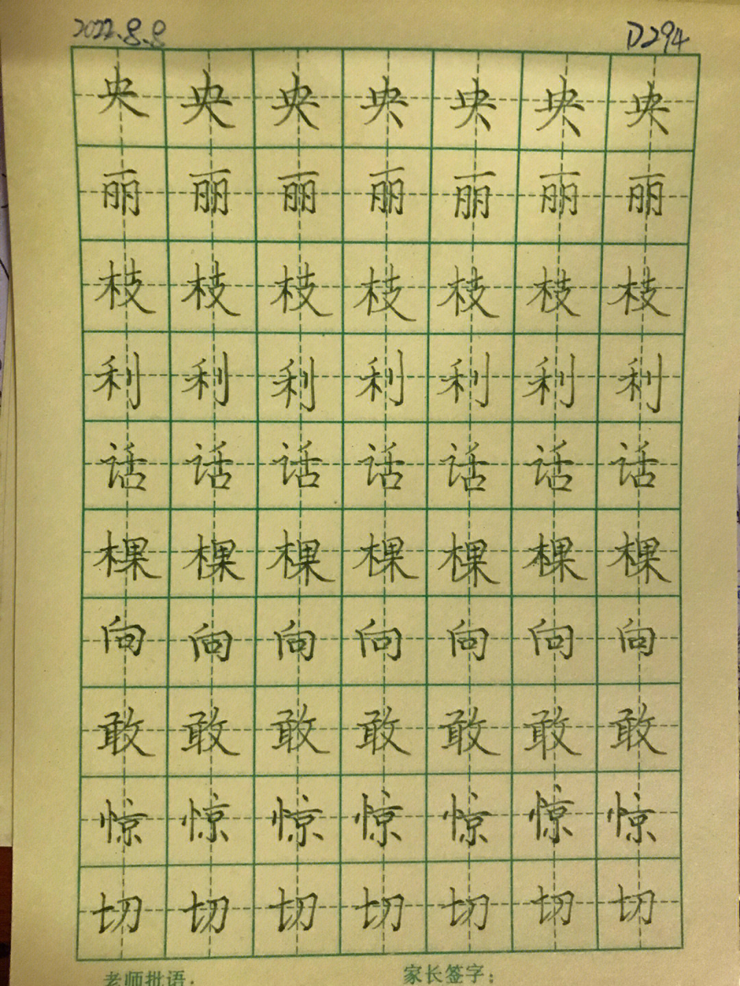 294字的硬笔书法作品图片