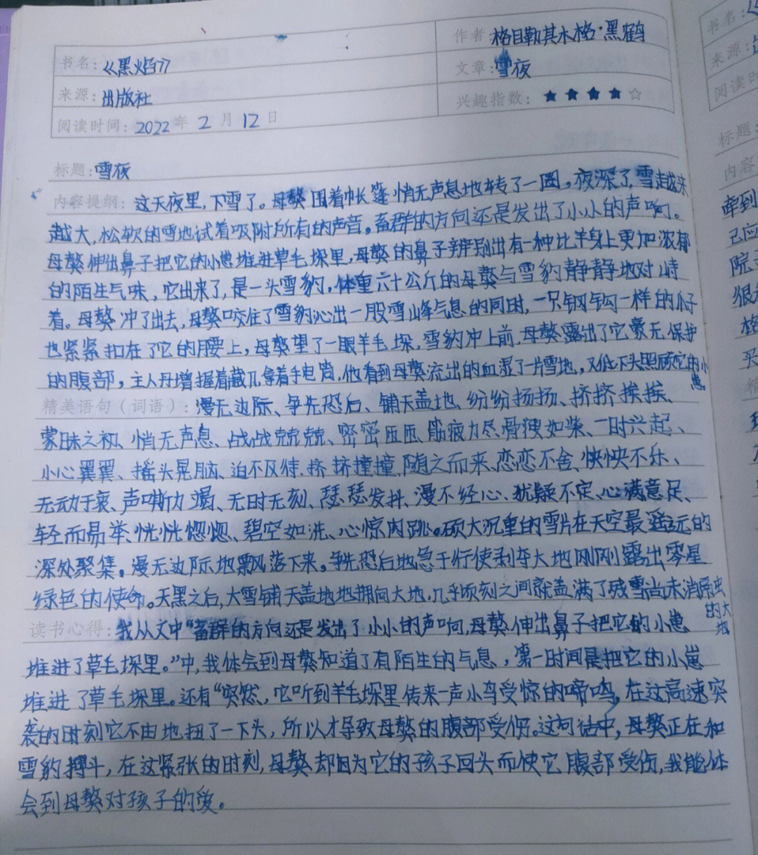 黑焰读书手抄报图片