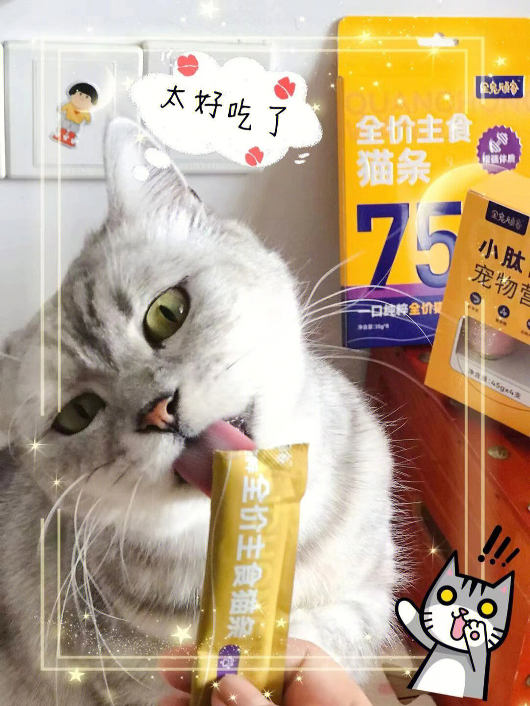 俩喜欢的美味又营养的主食猫条