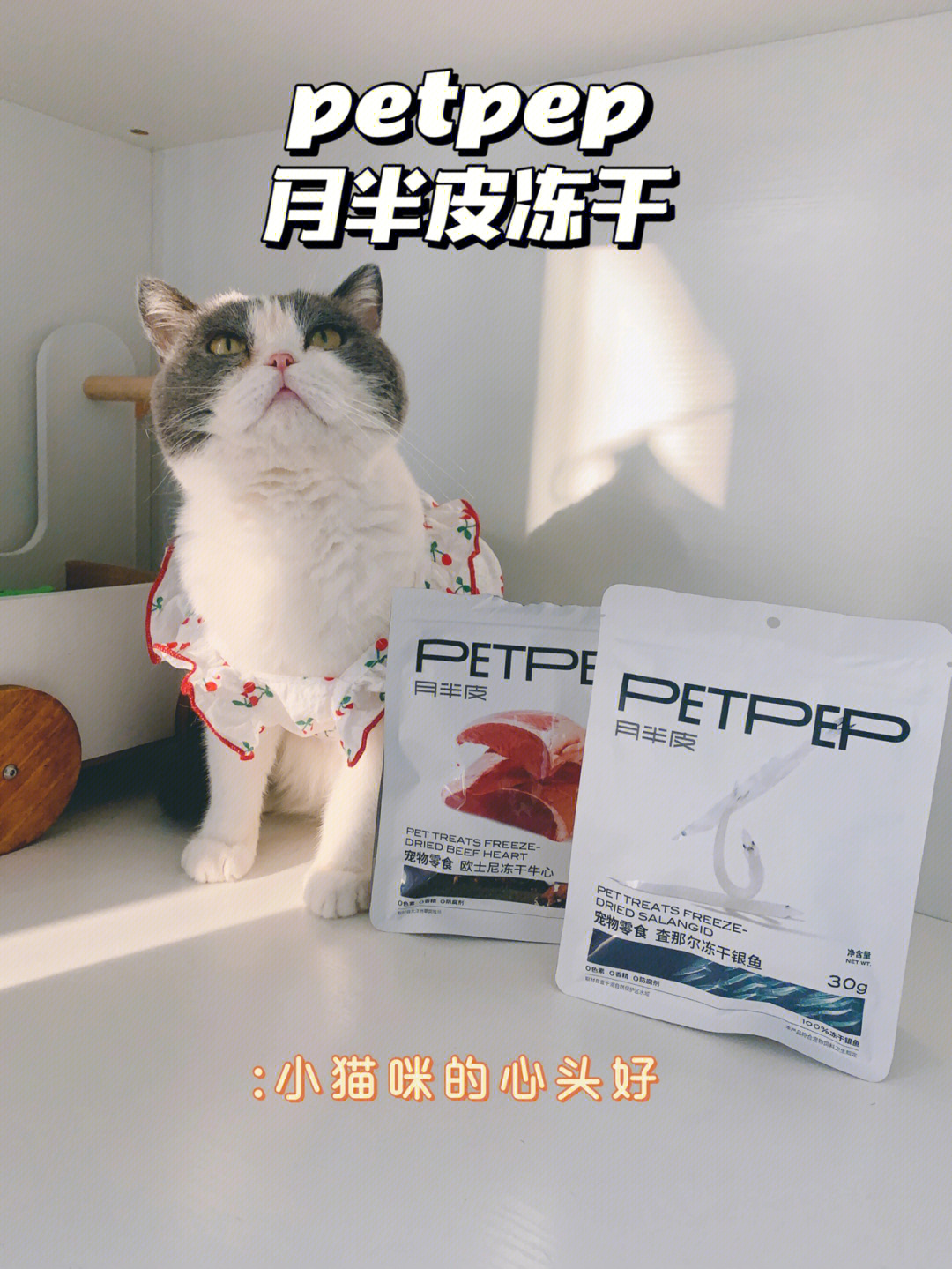 养猫冻干零食少不了月半皮猫冻干零食