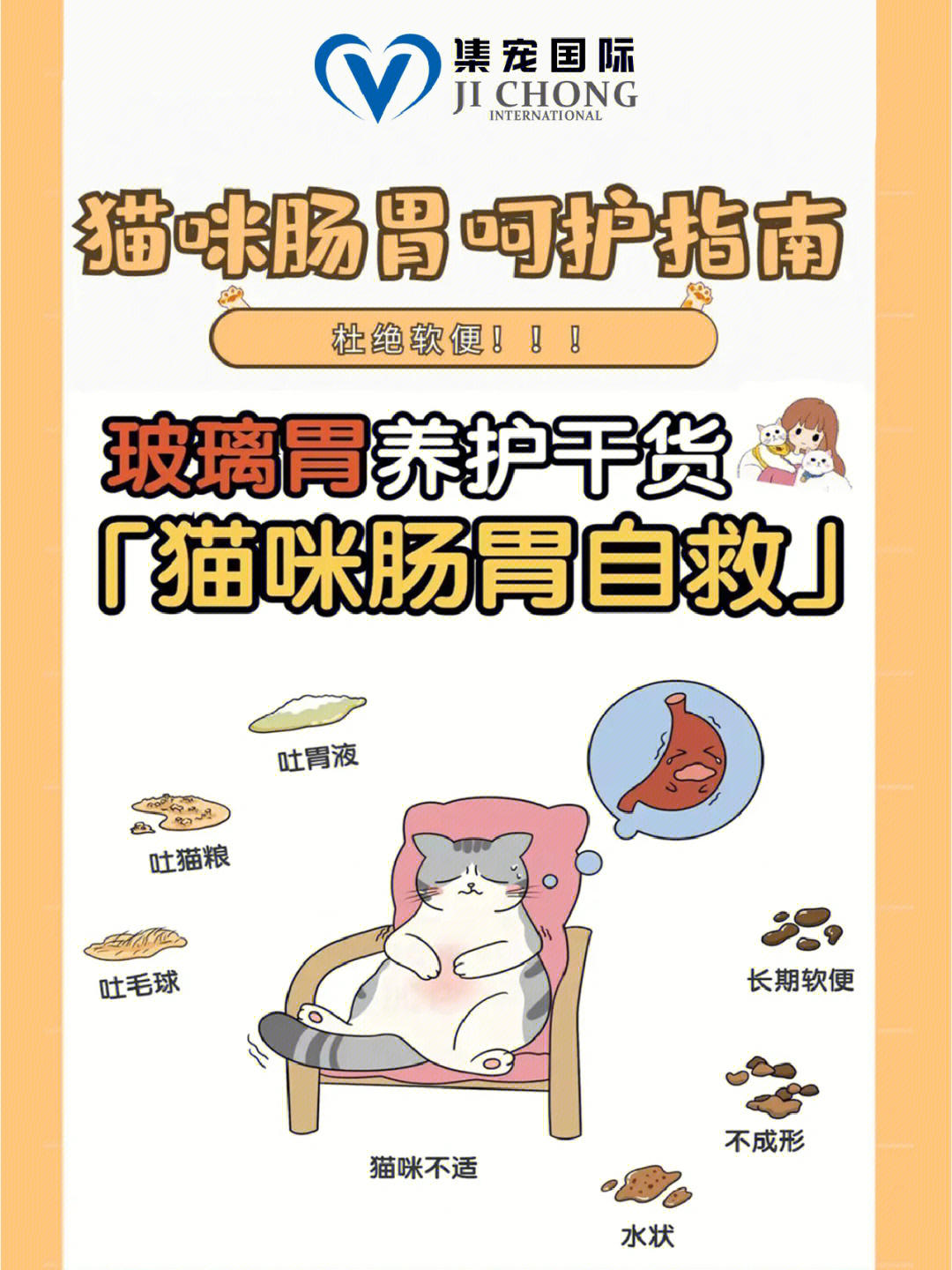 肠胃猫图片女人不能娶图片