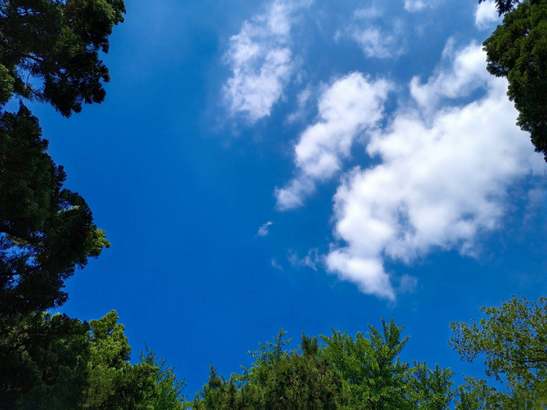 蓝蓝的天空