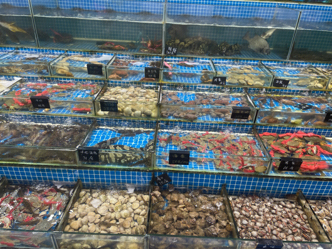 巽寮湾,深圳消费是真的高,比成都高很多,各位宝宝贝们注意,海鲜市场的