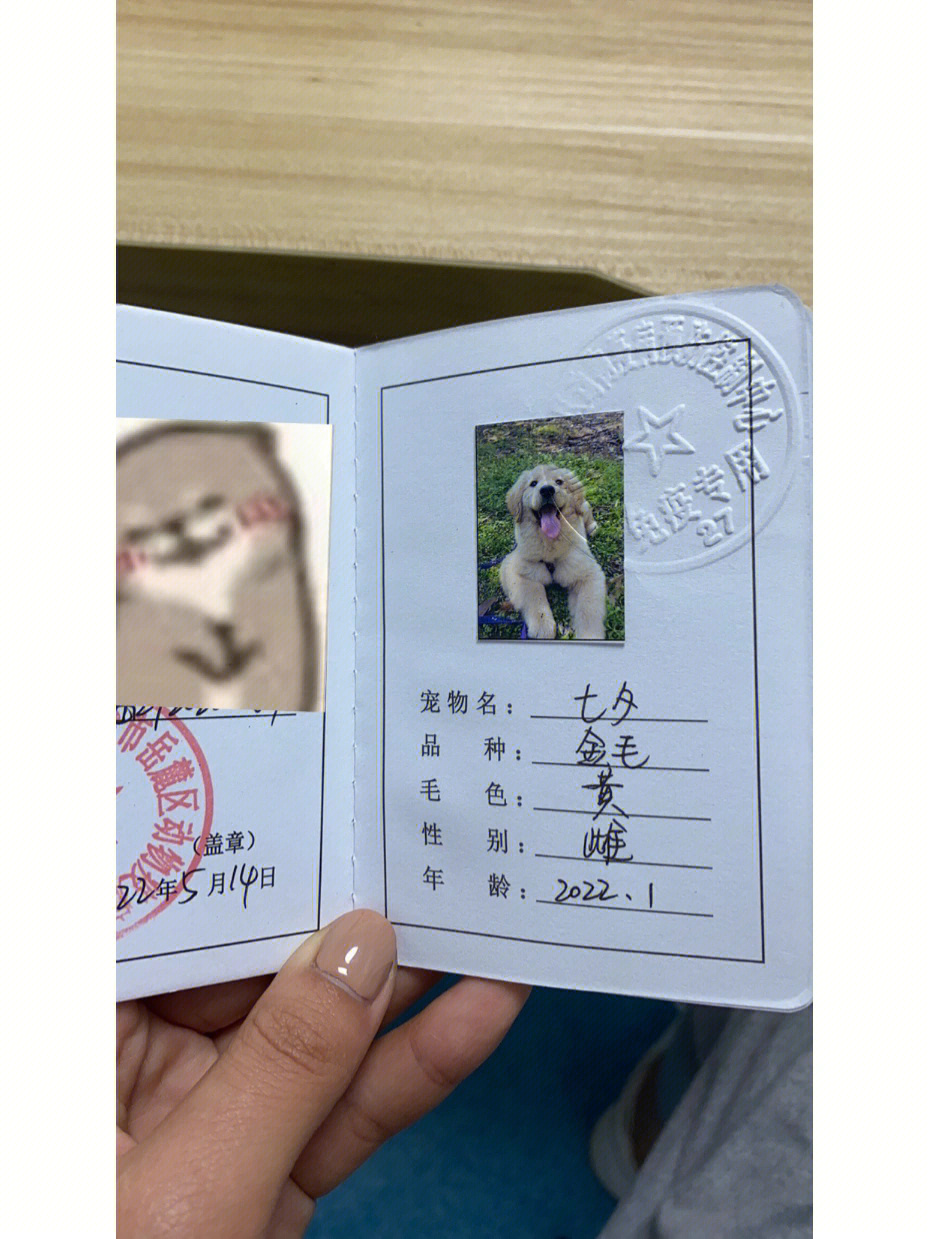 赤峰狗证图片