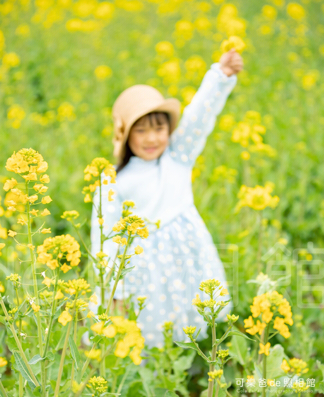 幼儿园春天油菜花美篇图片