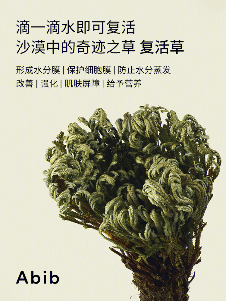 abib成分故事沙漠中的奇迹之草复活草