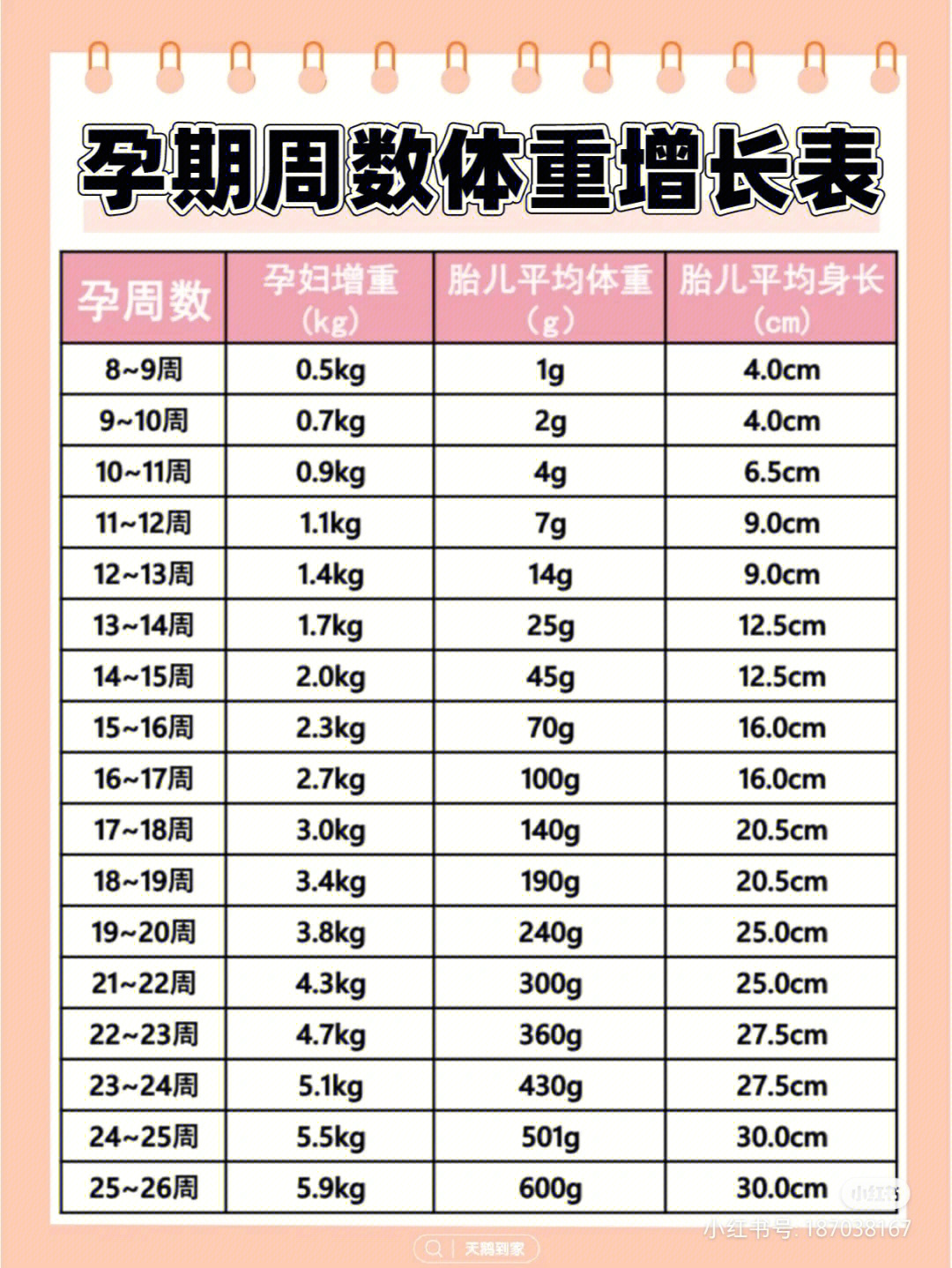 孕期每个月体重增加表图片