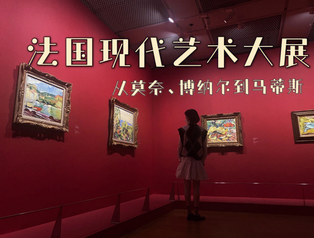 法国现代艺术大展门票图片