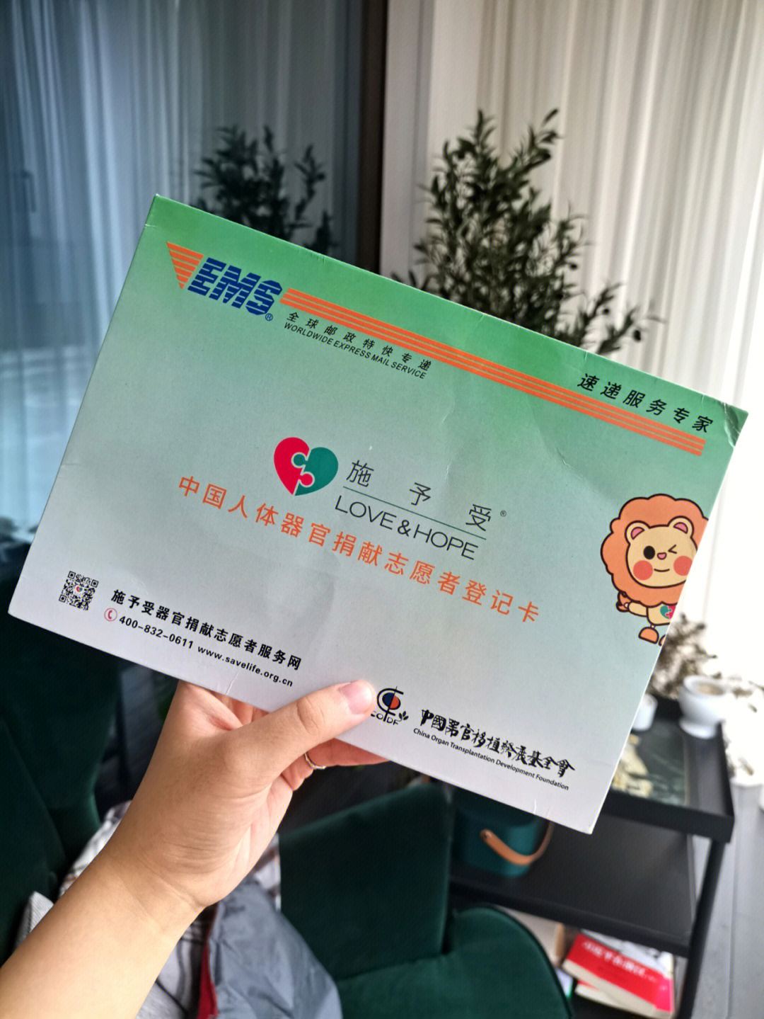 中国人体器官捐献表图片