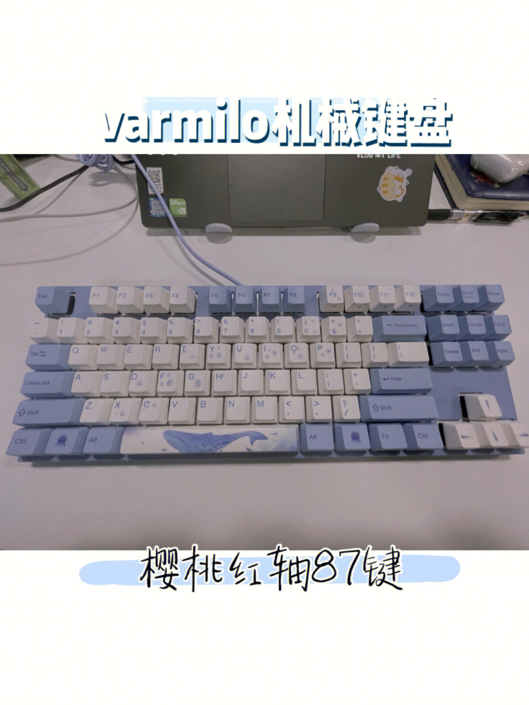 varmilo机械键盘樱桃红轴87键海洋主题