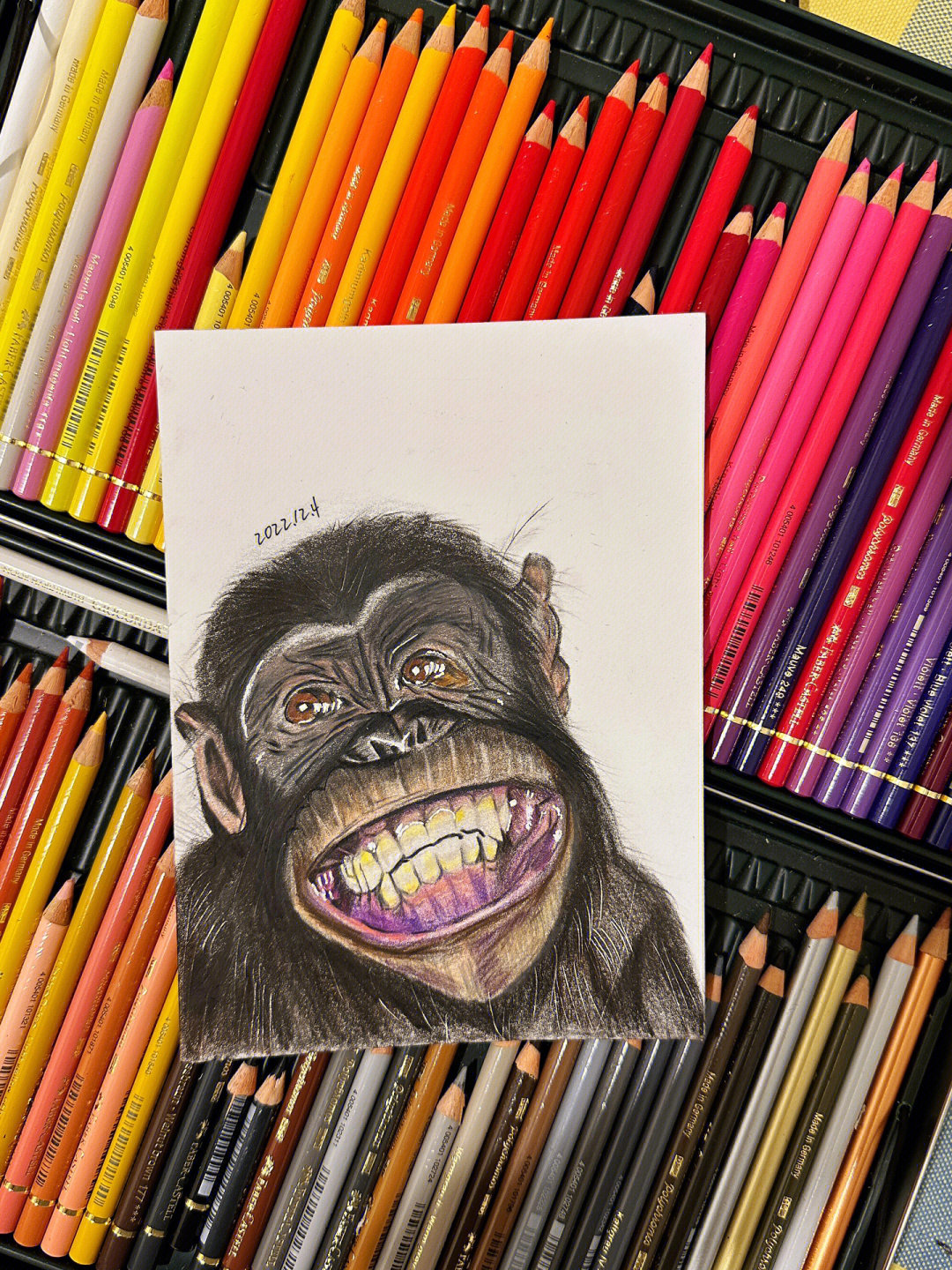 彩铅黑猩猩保持微笑