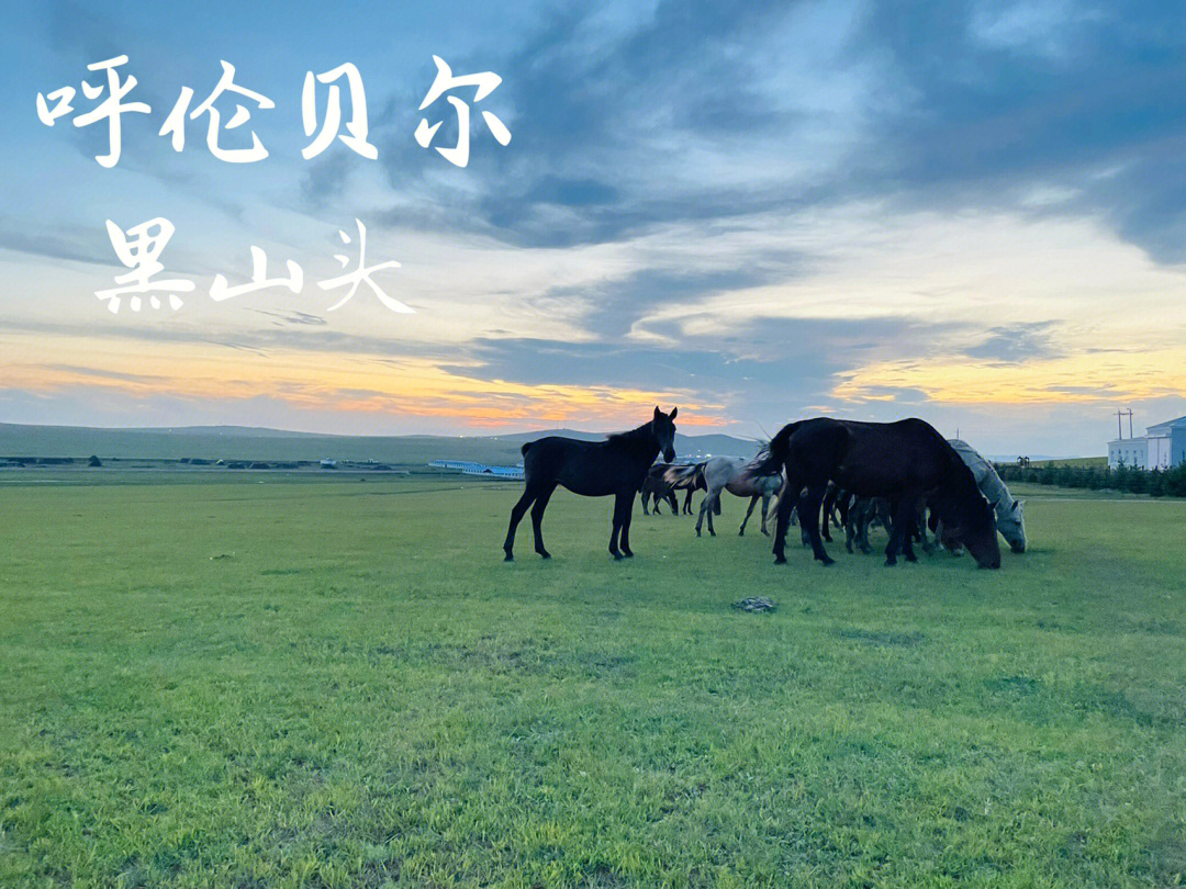 黑山头就住了5晚,只因孩子喜欢骑马,卡丁车…我自认为风景就在路上