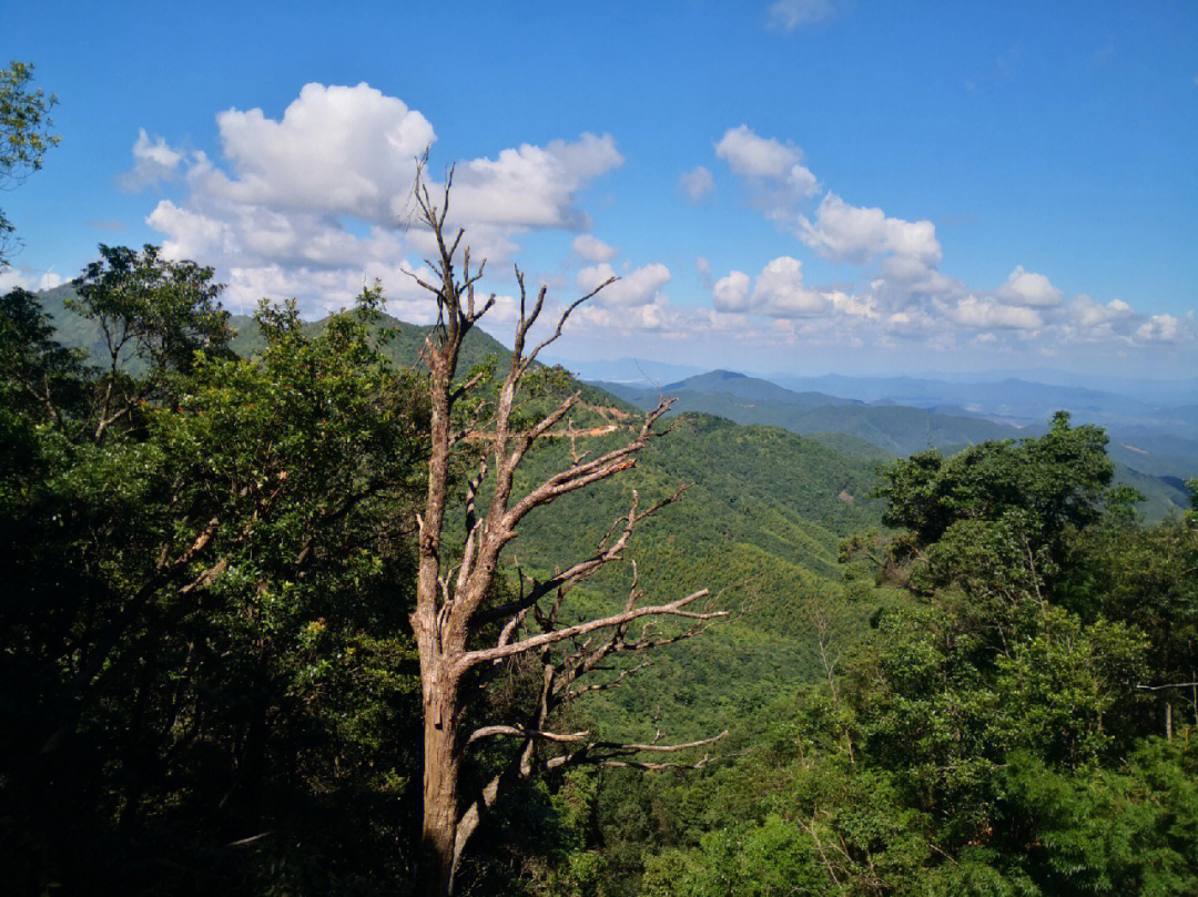 烈日下项山甑山野徒步