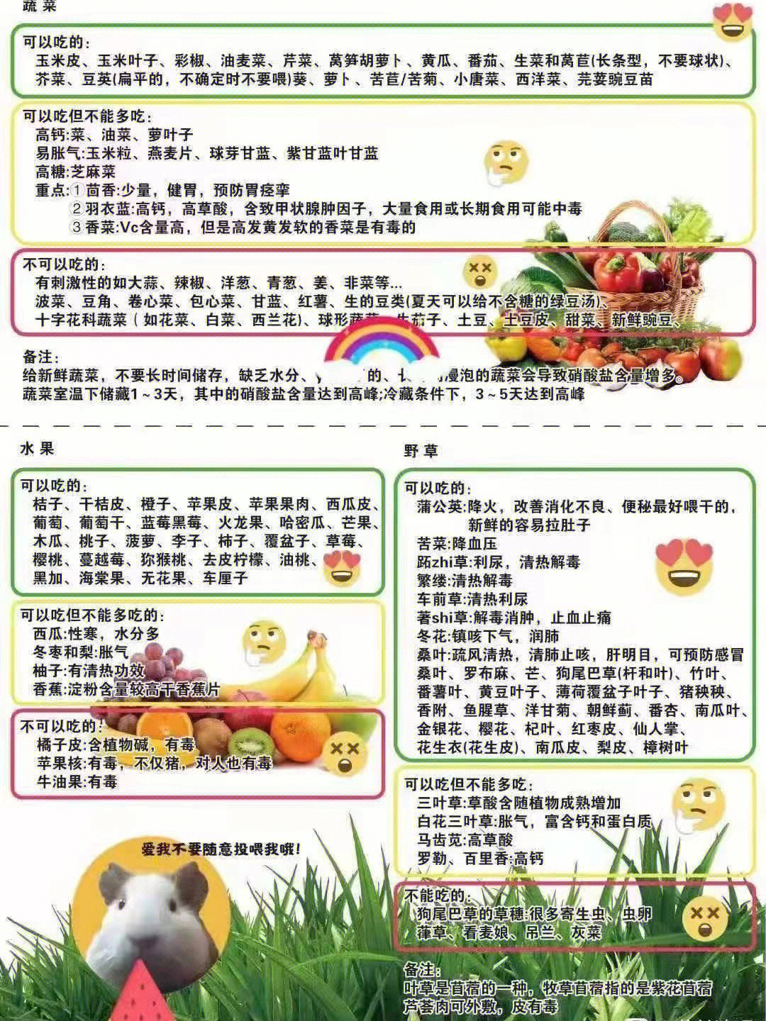 荷兰猪食物表图片