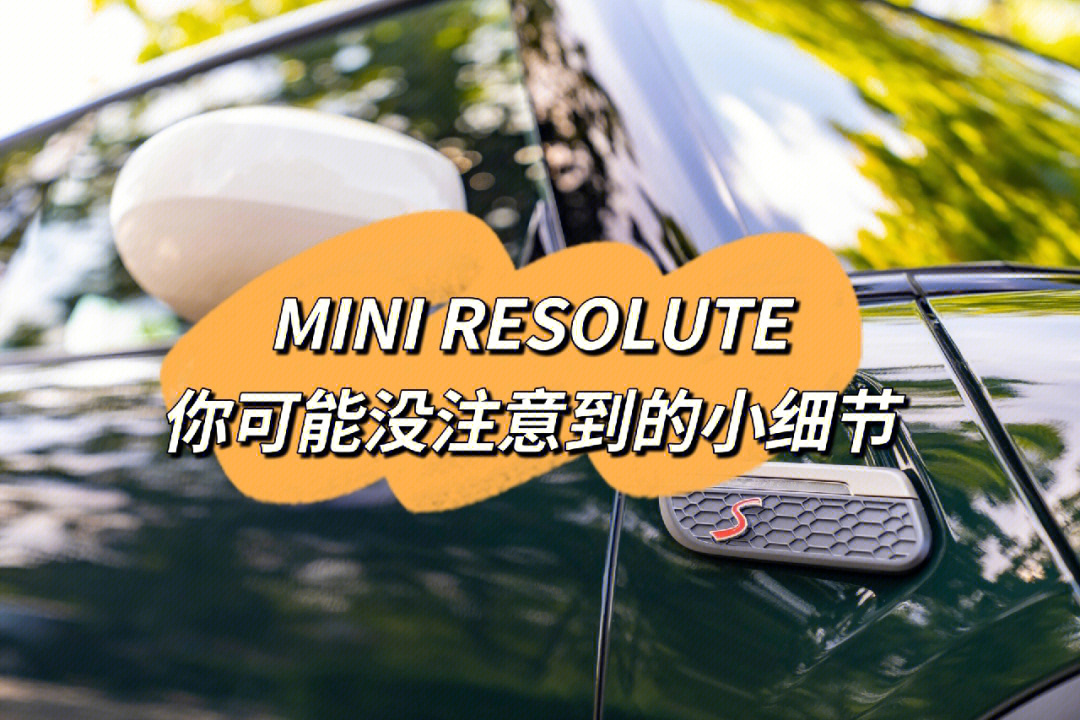 resolute支架图片