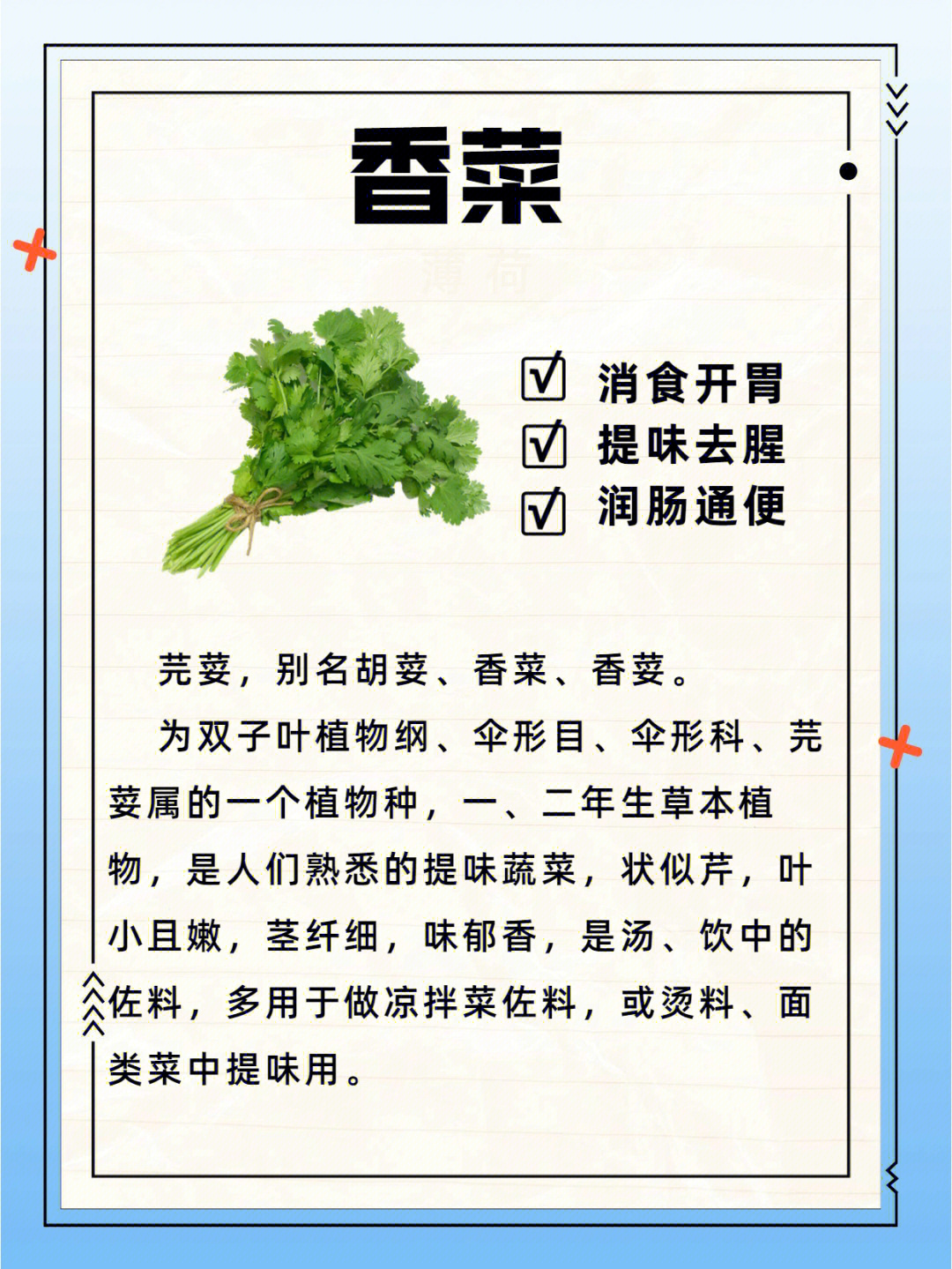 香菜的作用图片