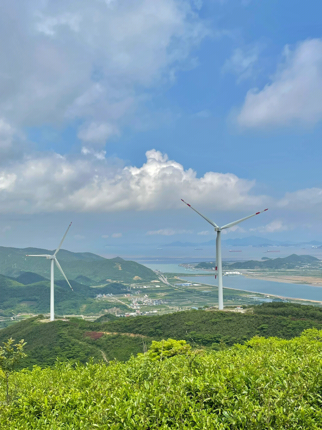 最近经常刷到北仑福泉山的云海7815和日出日落92趁天气好说走就