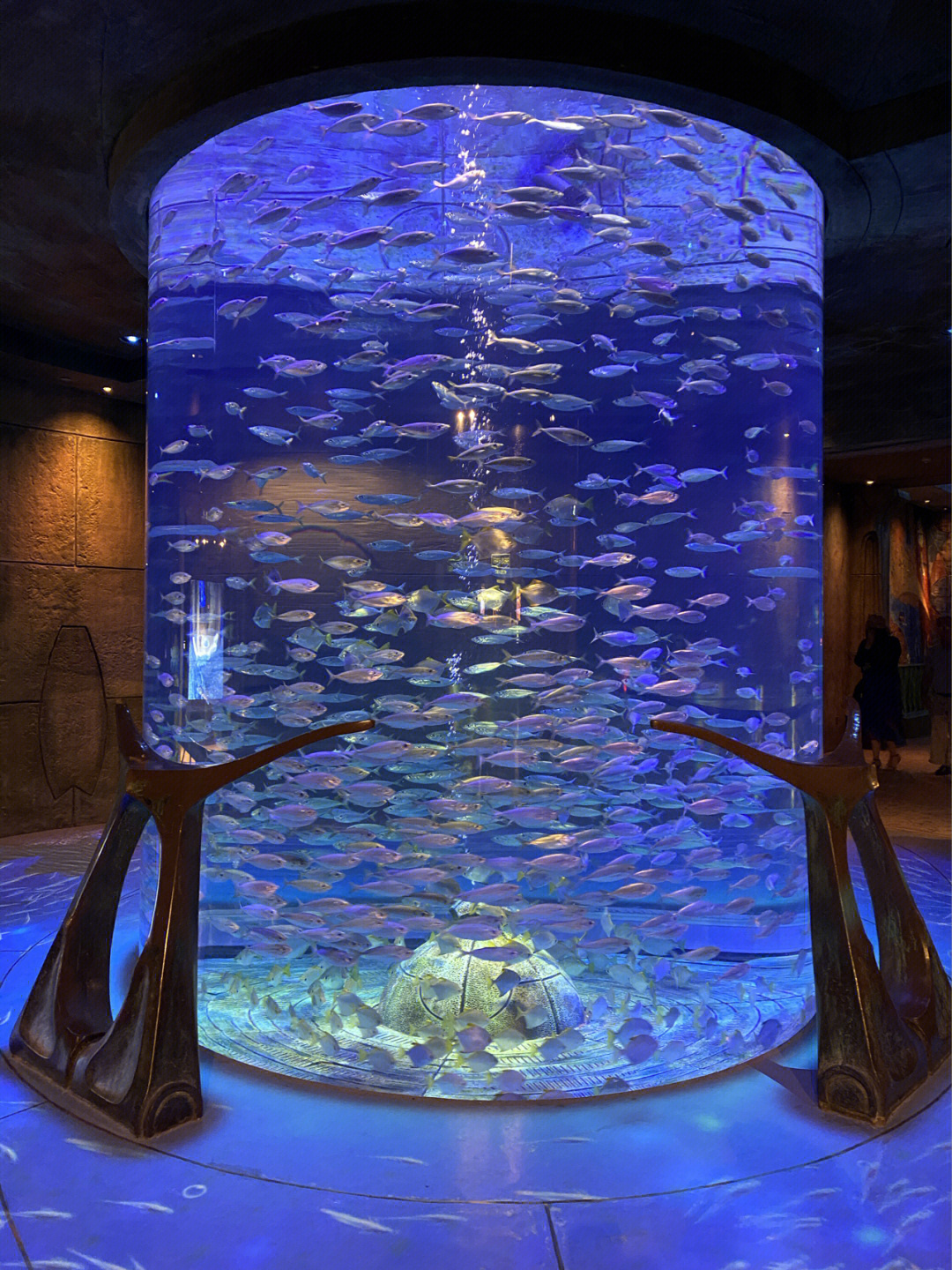 入住迪拜亚特兰蒂斯酒店的房客都可以免费获得一张失落的空间水族馆
