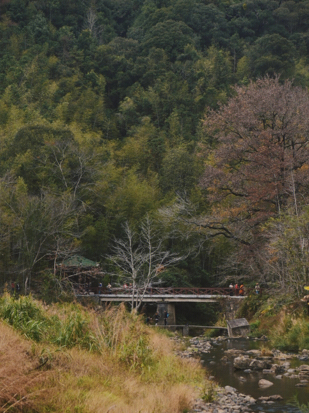 千岛湖镇下溪村图片