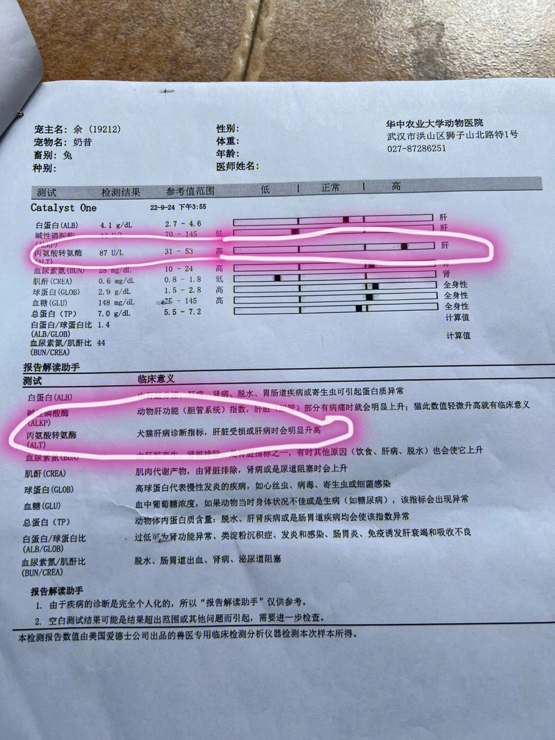 谷丙转氨酶偏低图片