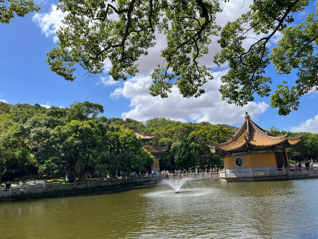 普陀山礼佛的人超多,拍照都是想办法挑没人的角度,因为寺庙佛像不能