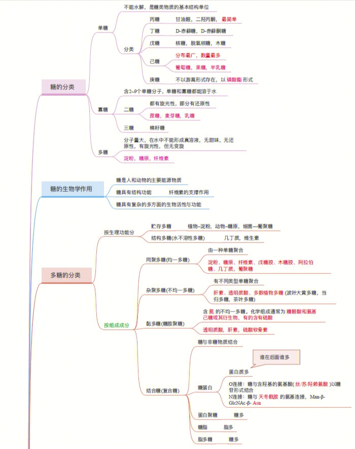 糖类知识点思维导图图片