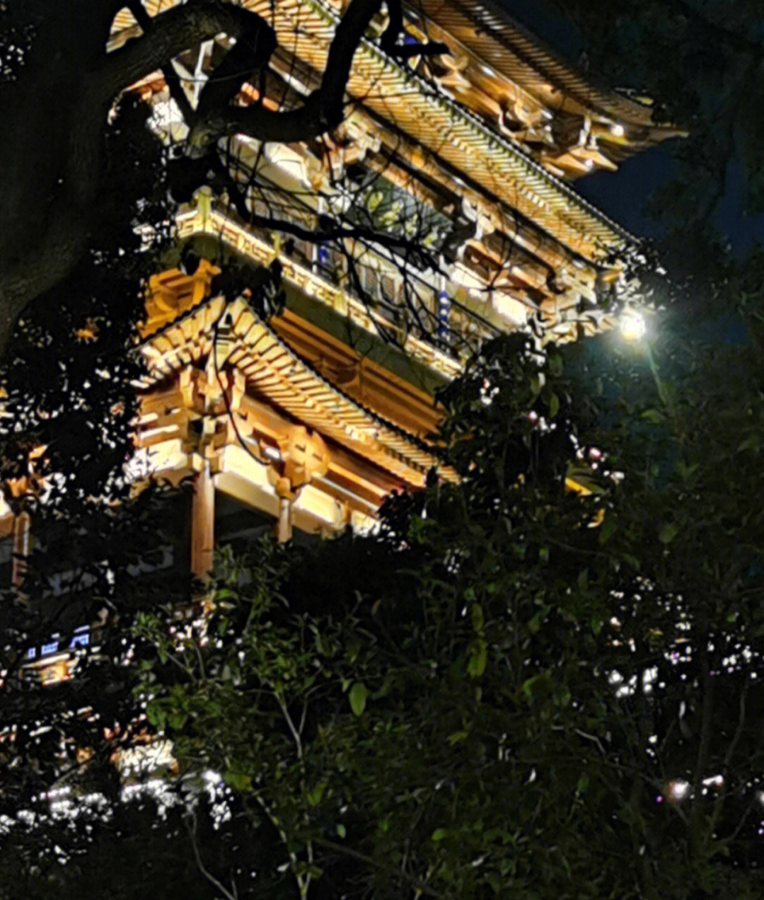 石鼓山公园夜景图片