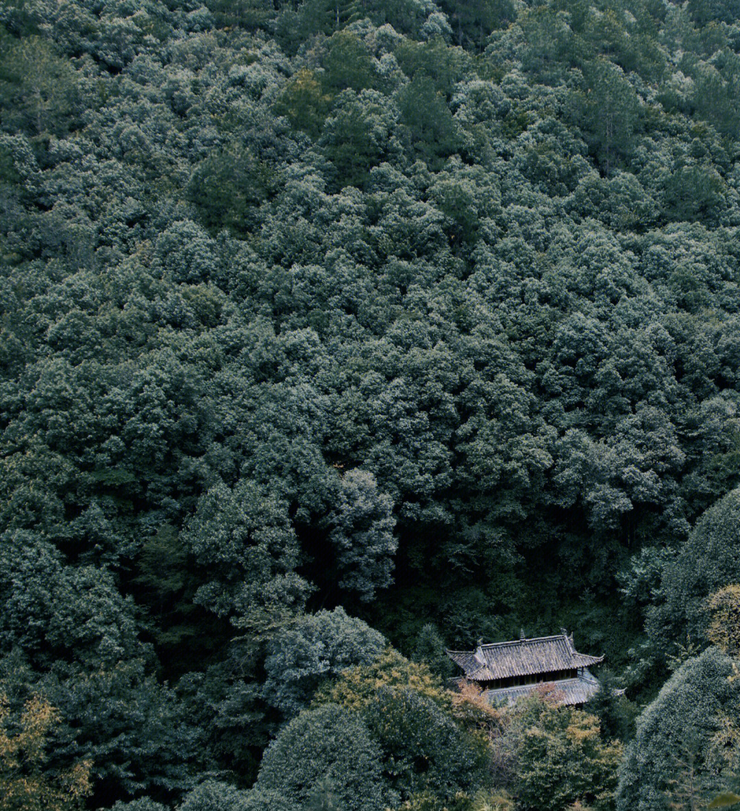 千狮山月饼图片