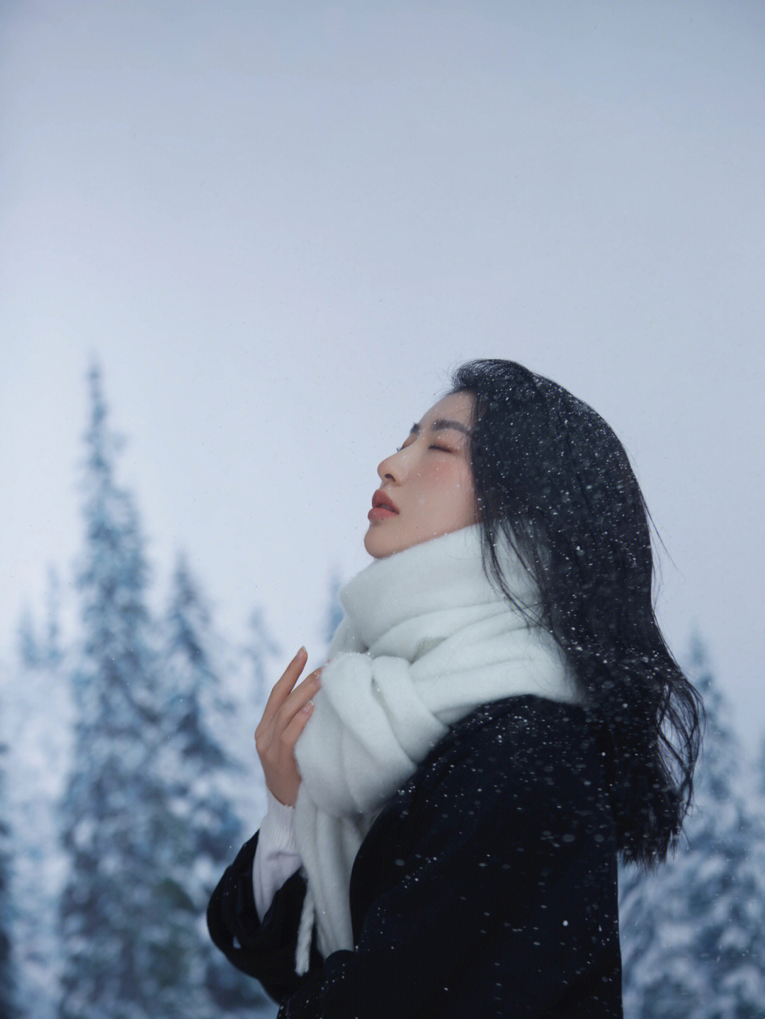 "张万森 下雪了 室内拍雪景