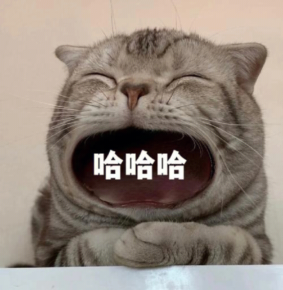 大嘴猫无字图片