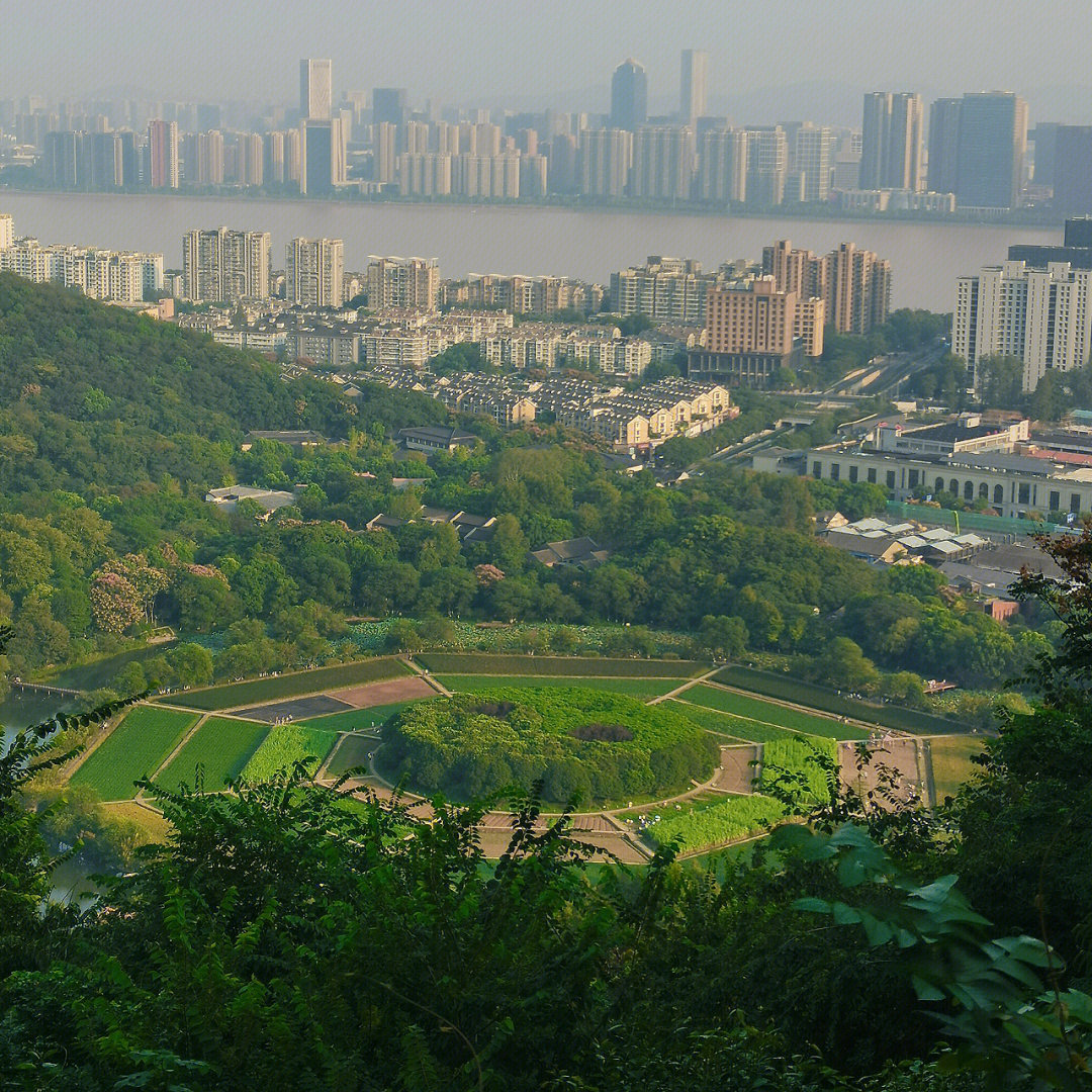 杭州凤凰山和玉皇山图片