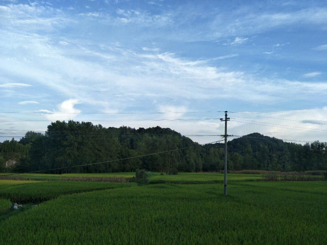 农村的风景