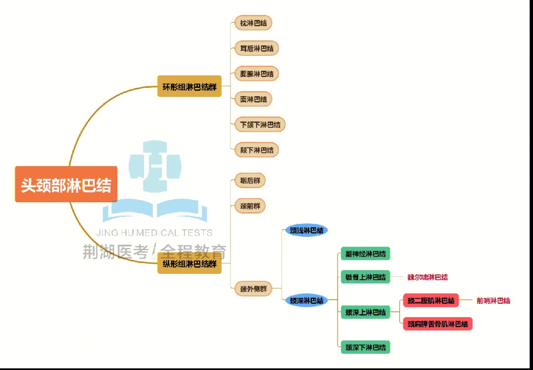 口腔门诊思维导图图片