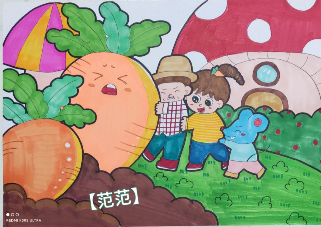 大班美术绘画萝卜教案图片