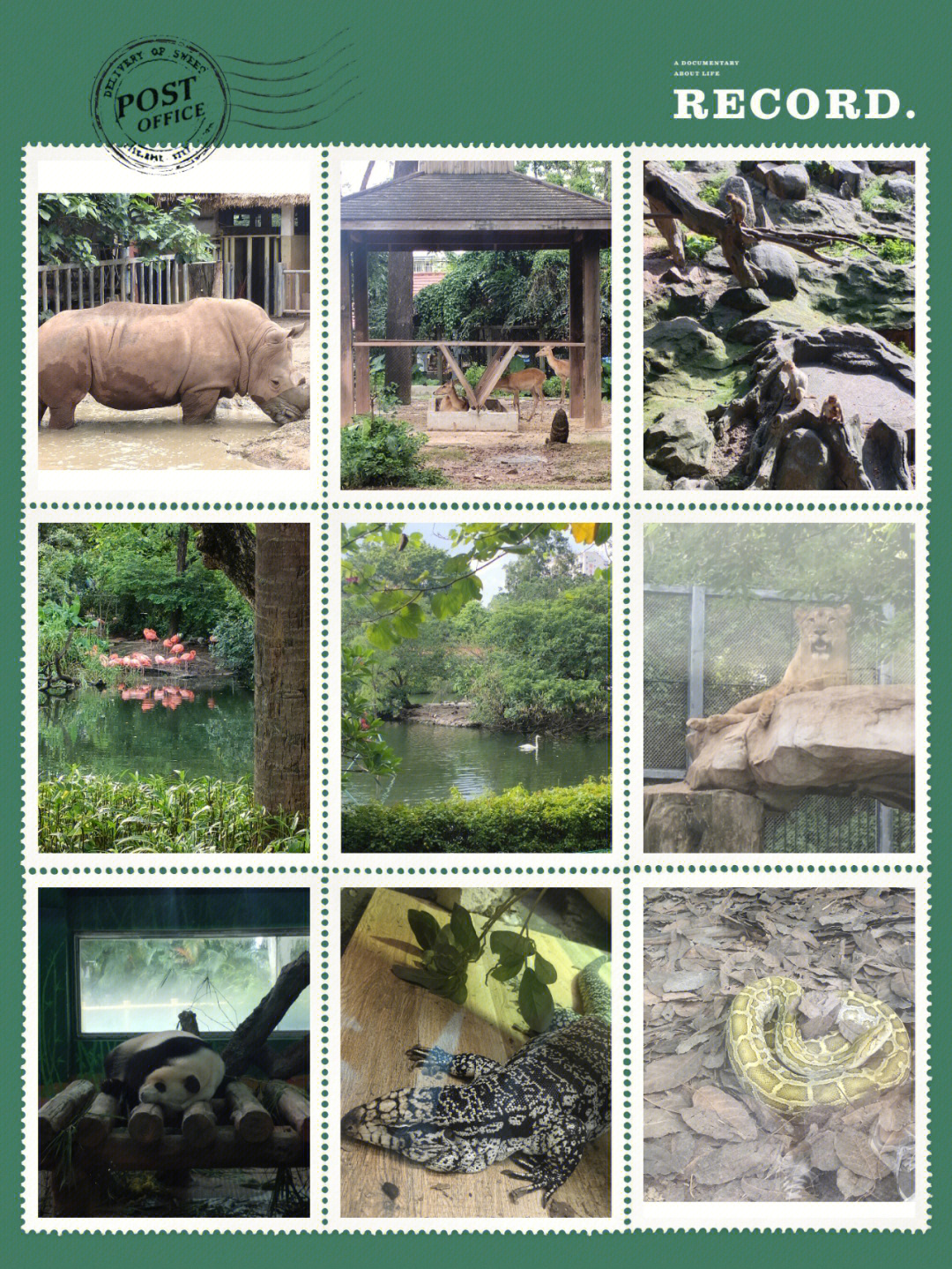 广州动物园动物名单图片