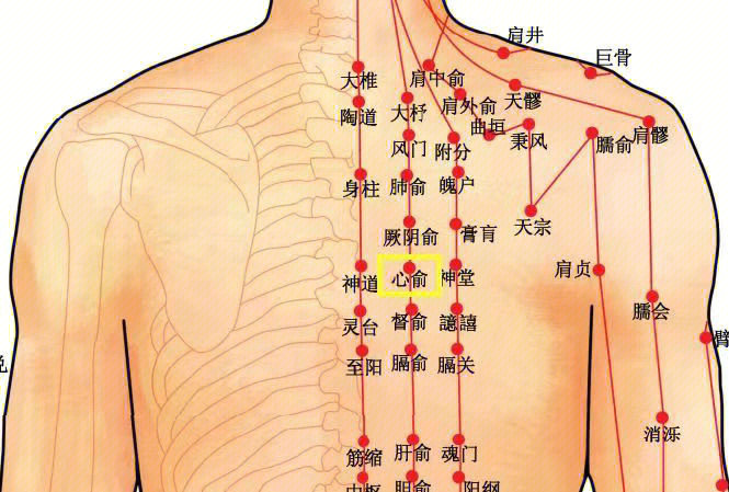 61日每69一穴【心61穴俞69】