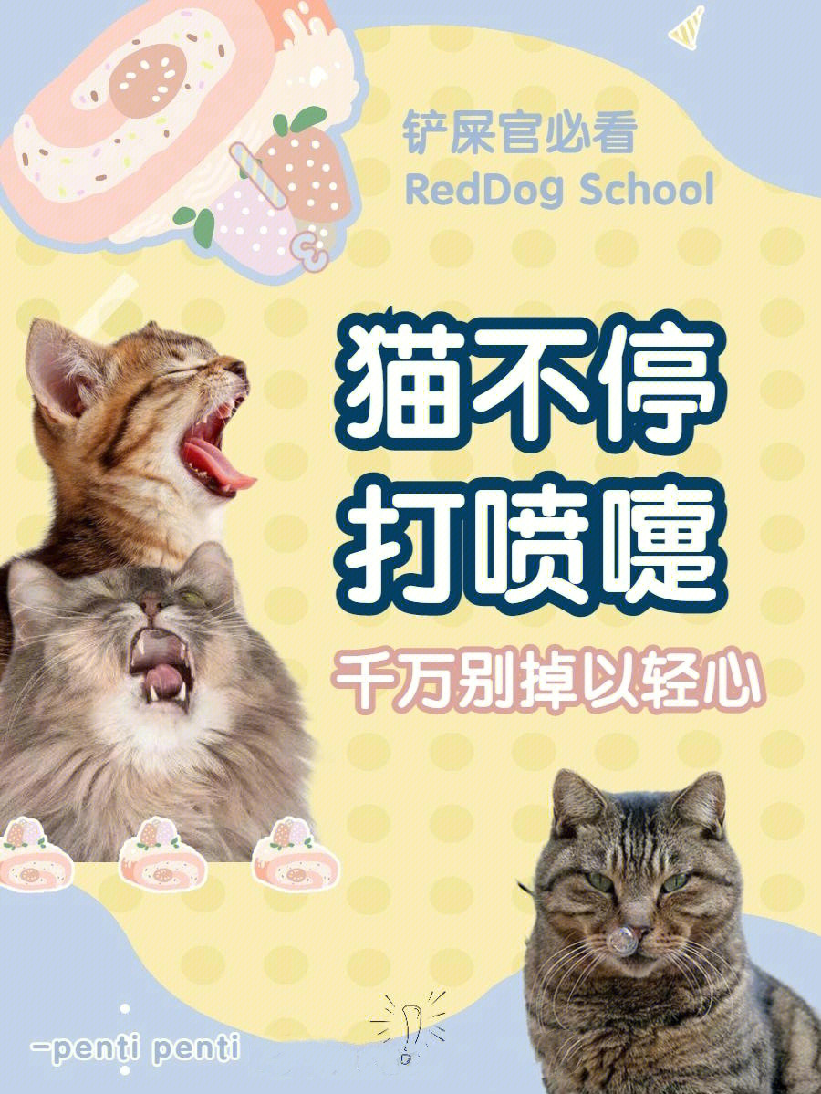 猫打喷嚏是怎么回事图片