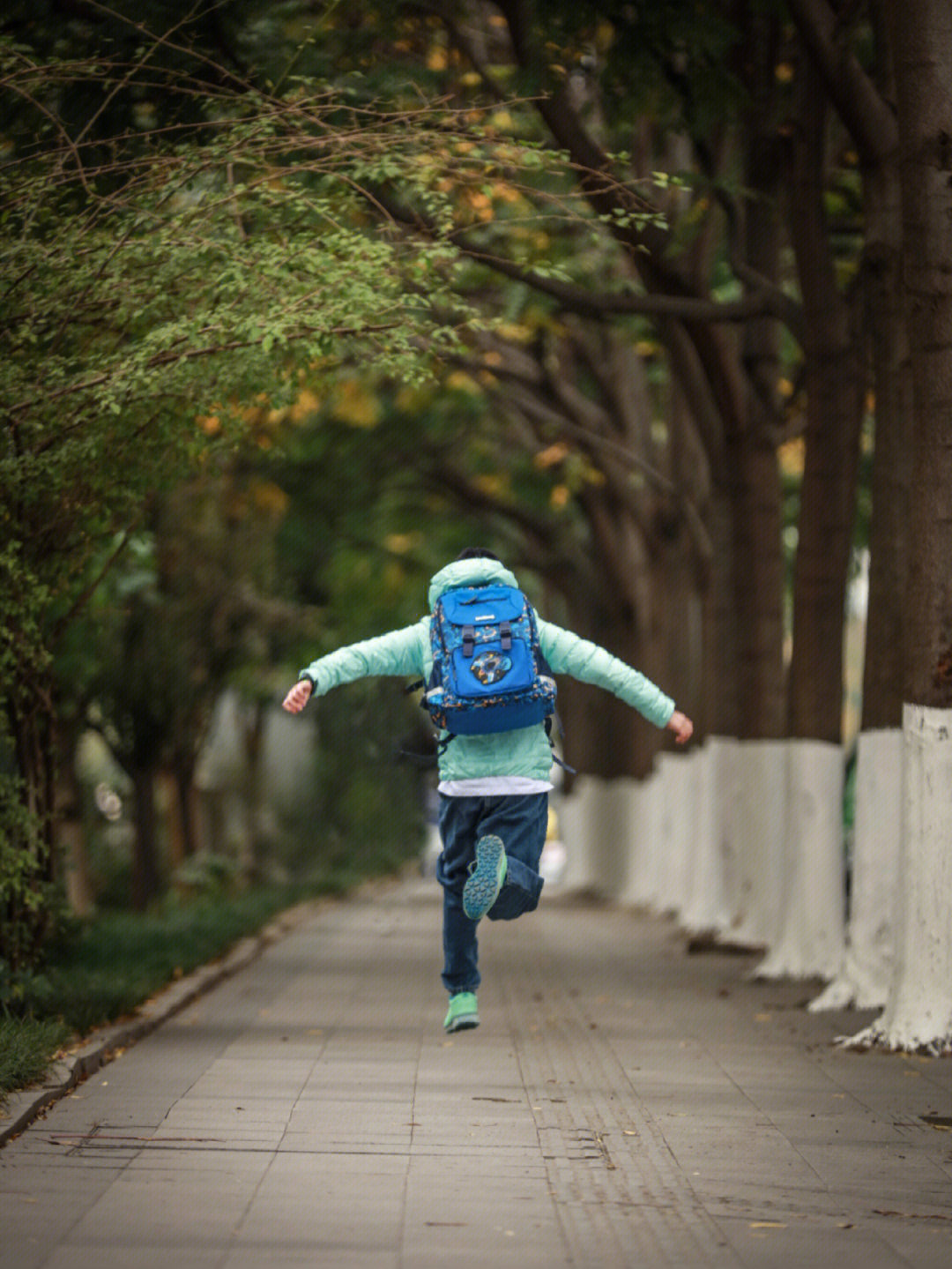 小学生放学背影图片