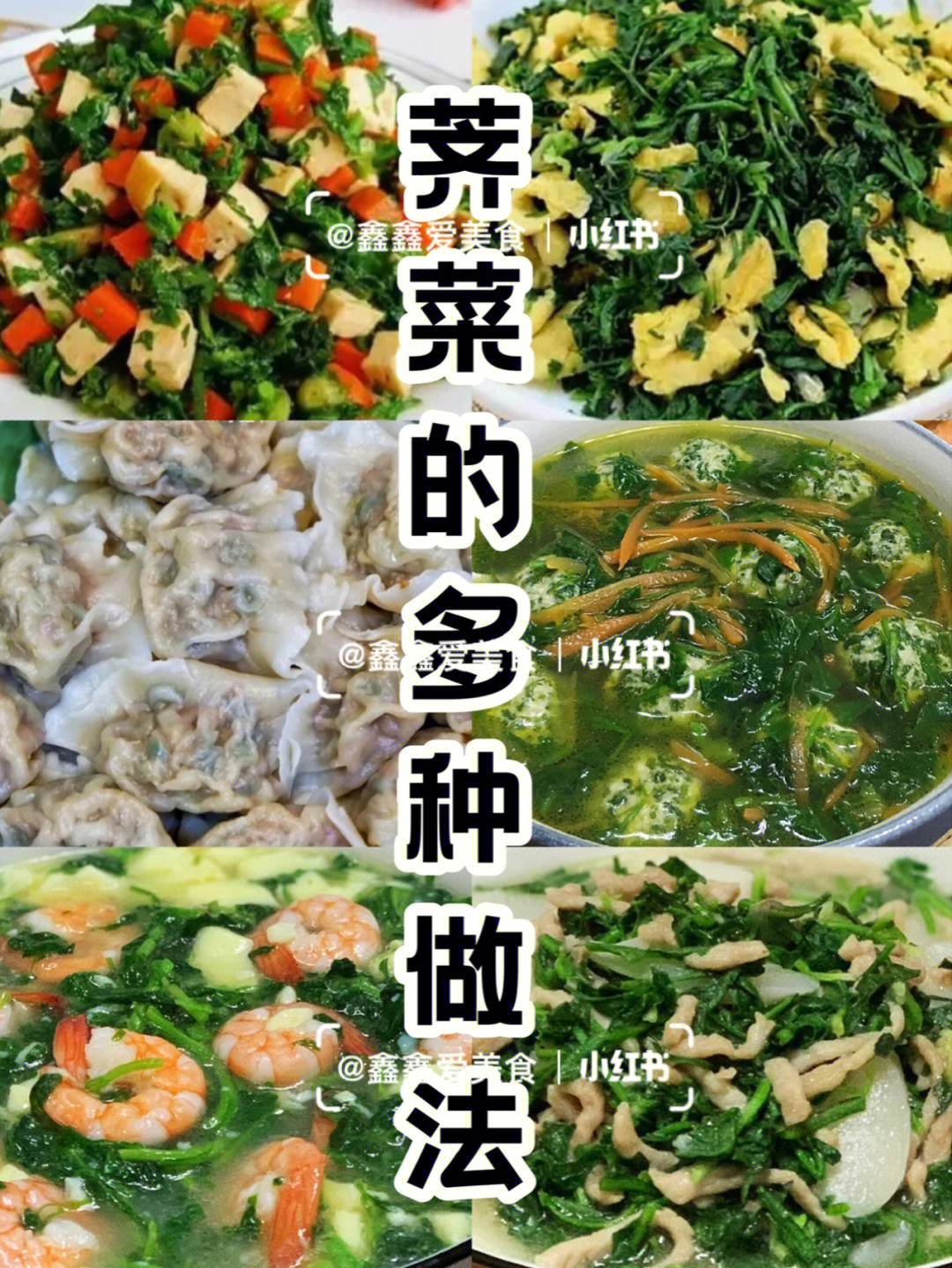 荠菜的多种做法春季养生必肉都好吃