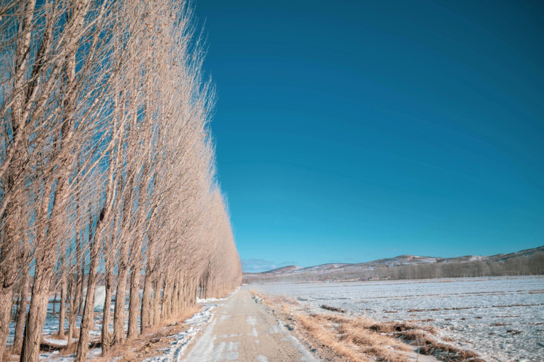 雪景摄影作品名称图片