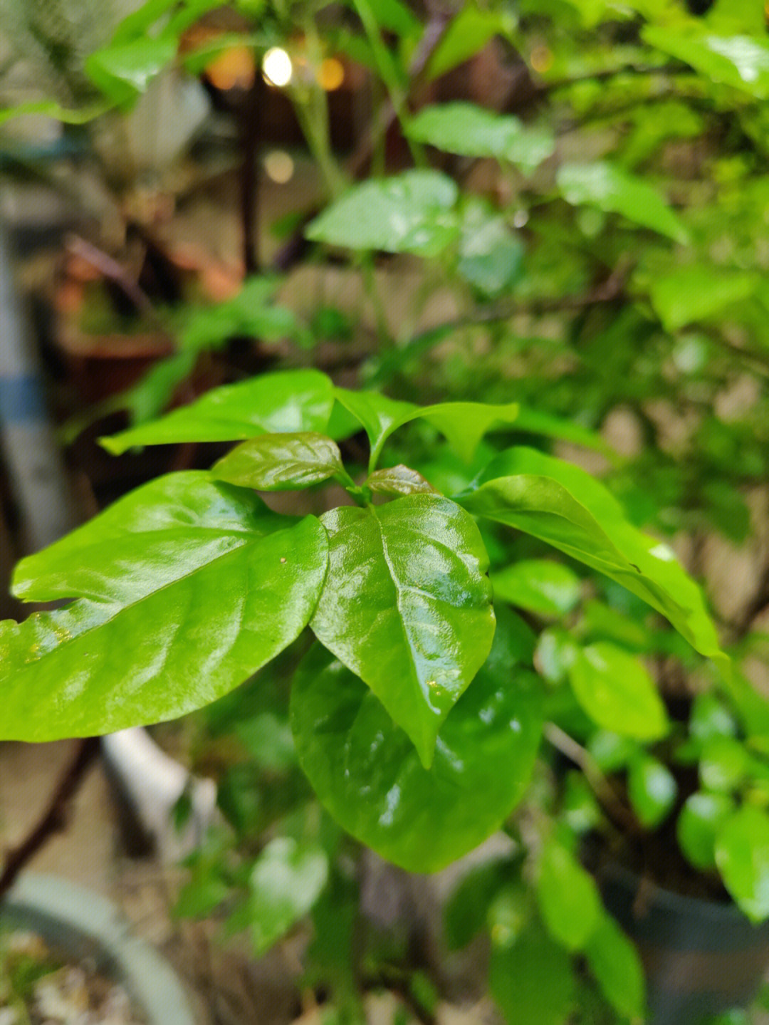 当新的一轮雨季来临751597979797继续前进,静静等待阳光