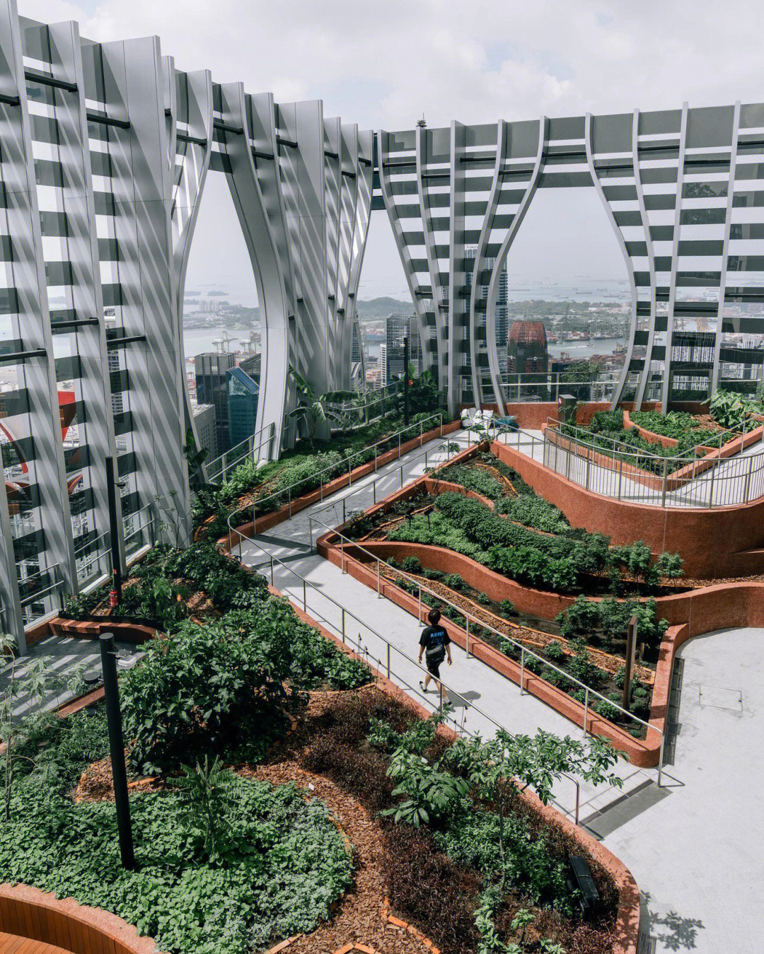 新加坡免费开放的空中花园你去了吗