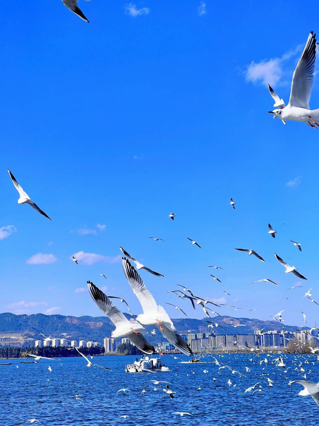 本地人整理昆明免费旅游景点丨滇池海埂
